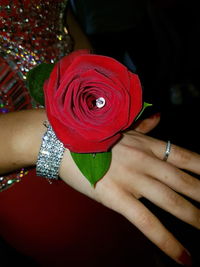 Close-up of hand holding red flower