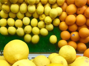 Close-up of fruits in water