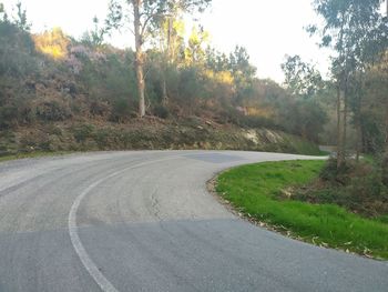 Empty road along trees