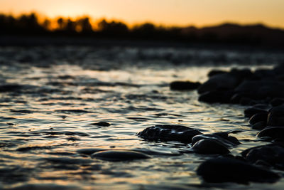 Close-up of sea shore at sunset