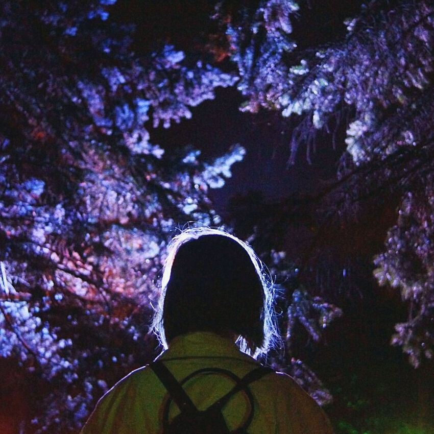 REAR VIEW OF MAN IN TREE AGAINST SKY