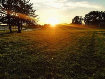 Scenic view of field against sky during sunset