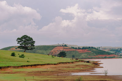 Scenic view of landscape against sky