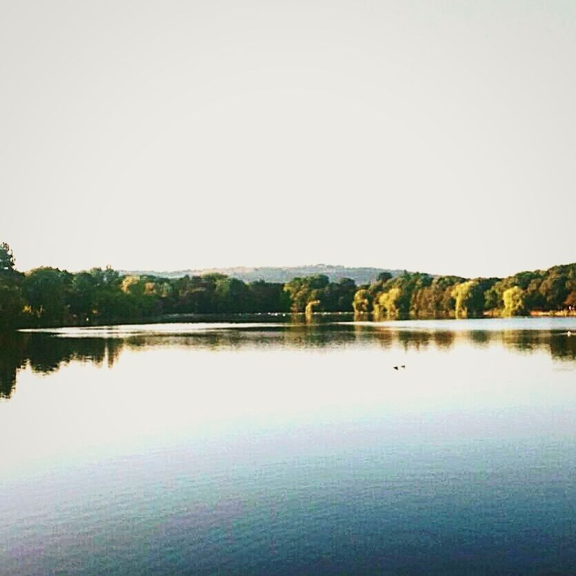 reflection, tranquility, water, tranquil scene, scenics, lake, nature, beauty in nature, no people, outdoors, clear sky, waterfront, tree, day, sky