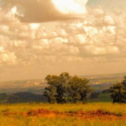 Scenic view of field against sky during sunset