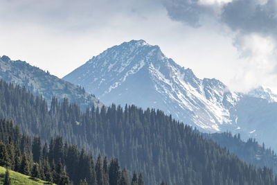 Panoramic view of snowcapped mountains against sky