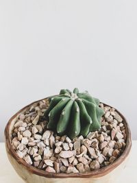 Close-up of green beans in bowl on table