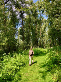 Rear view of woman walking in forest