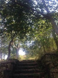 Low angle view of staircase