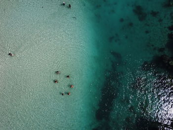 High angle view of people swimming in sea