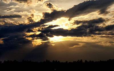 Low angle view of silhouette trees against dramatic sky