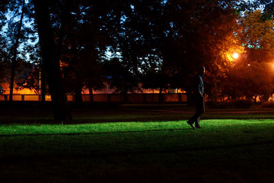 Silhouette man in park at night