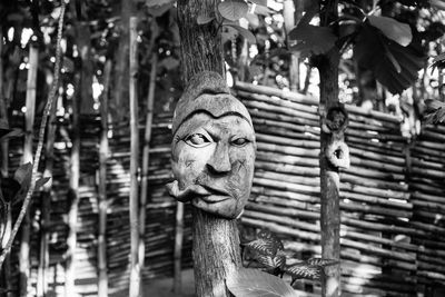 Close-up of statue against trees