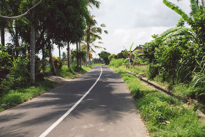 Road amidst trees against sky