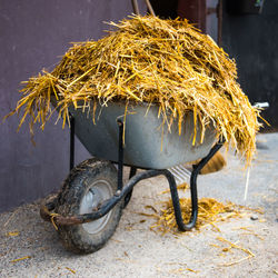 Wheelbarrow with hay