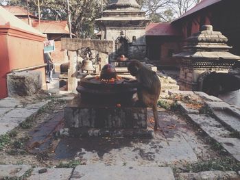 Rear view of woman at temple