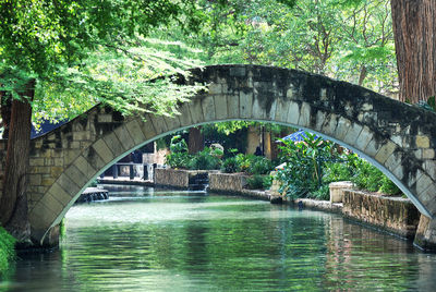 Arch bridge over river in forest