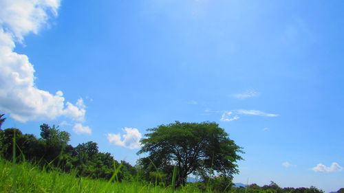 Scenic view of grassy field against cloudy sky