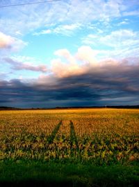 Scenic view of field against sky