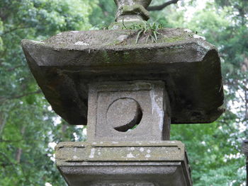 Close-up of cross on tree in garden