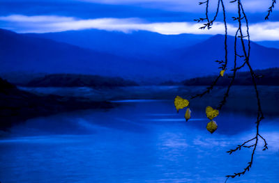 Scenic view of lake against sky during winter
