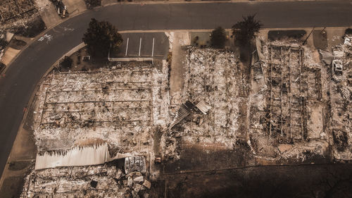 Plants against old wall