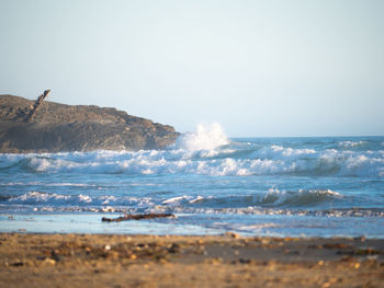 Pacific ocean vancouver island 