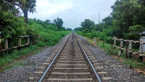 Railway tracks amidst trees against sky