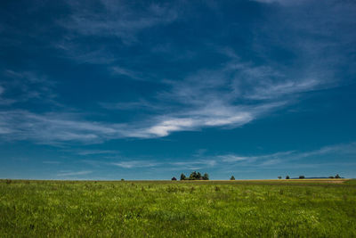 Scenic view of agricultural field against blue sky