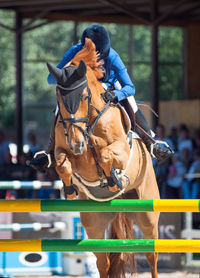 Man riding horse