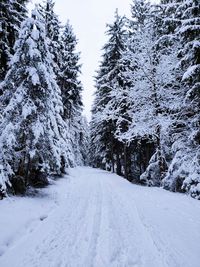 Snow covered road during winter