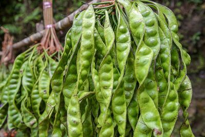 Close-up of vegetables in market