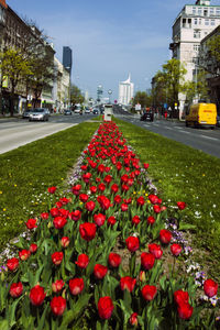 View of city street