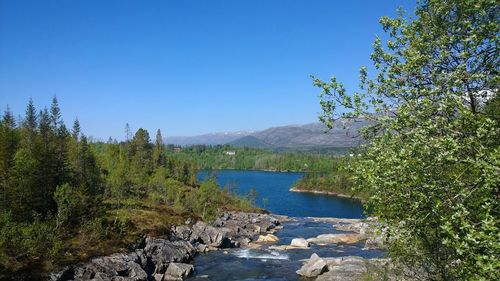 Scenic view of sea against clear sky