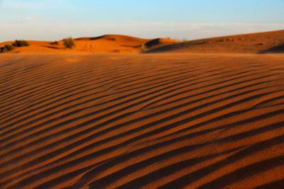 Scenic view of desert