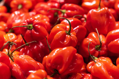 Full frame shot of bell peppers