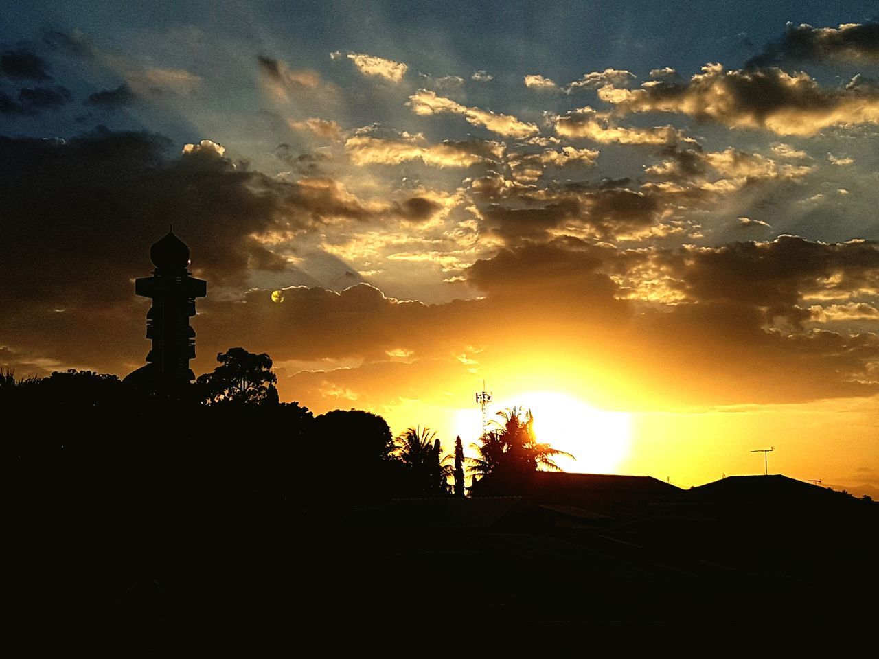 SILHOUETTE OF TREES AT SUNSET