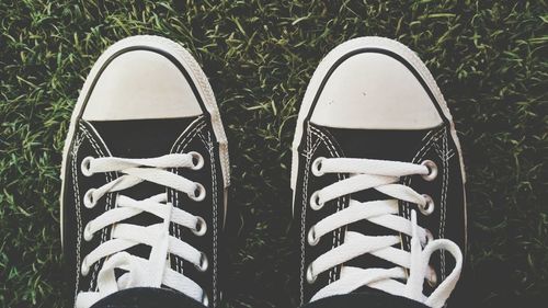 Low section of person standing on grass