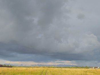 Scenic view of agricultural field against sky