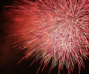 Low angle view of firework display at night