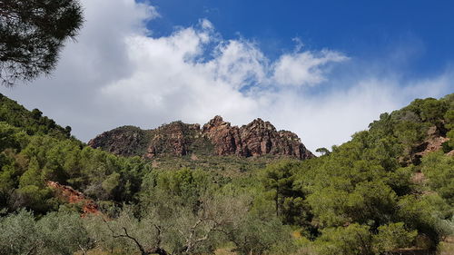 Panoramic view of landscape against sky