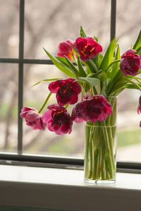 Close-up of red roses in vase