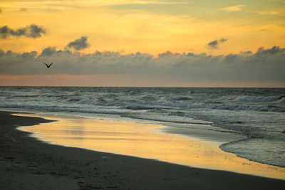sea