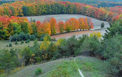 Scenic view of trees by lake during autumn