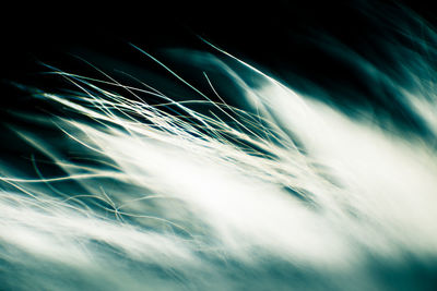 Full frame shot of feather