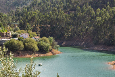 Scenic view of lake in forest