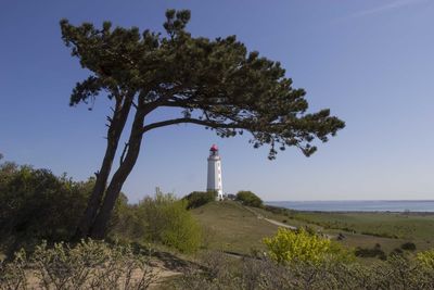 Lighthouse and trees by sea against sky on sunny day