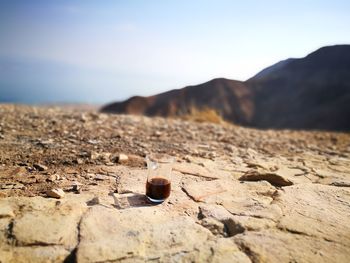 Close-up of stones on rock