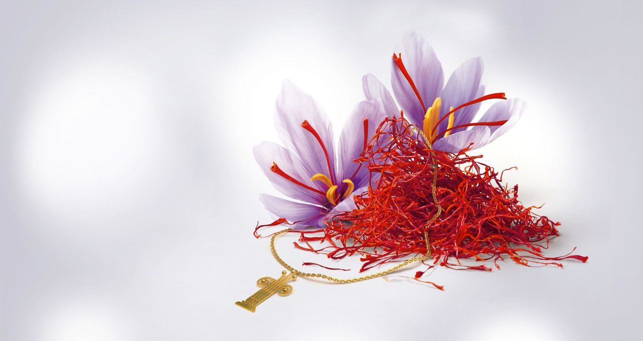 red, flower, nature, beauty in nature, flower head, close-up, city, no people, fragility, freshness, outdoors, gerbera daisy, day