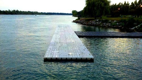Reflection of trees in water